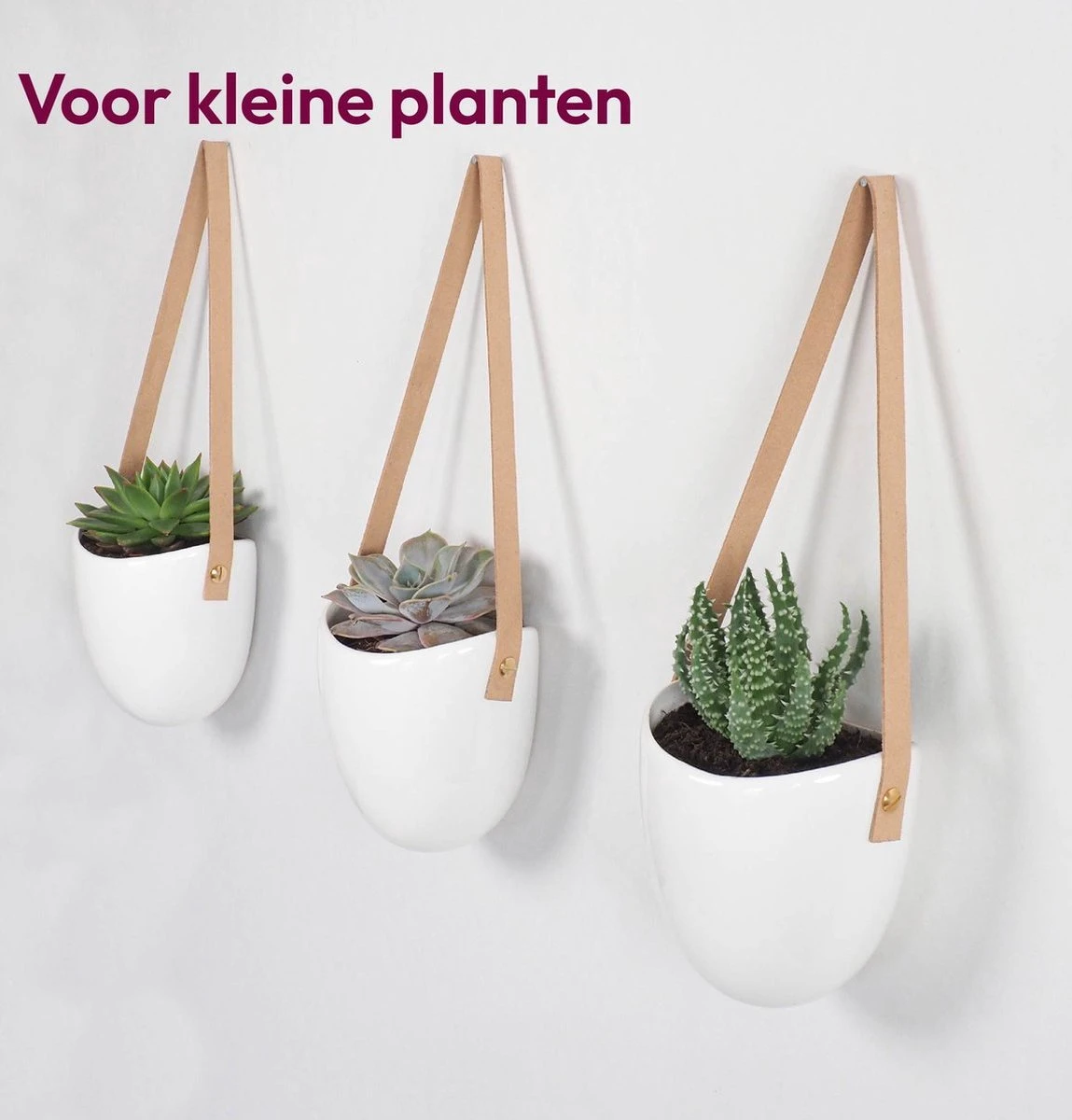 Gadgy Plantenhanger Keramiek - Set Van 3 - Hangpot Van Wit Steen - Hangende Bloempot Plantenpot - Met 3 Verschillende Koorden - 12x11x9.5CM - Afbeelding 4