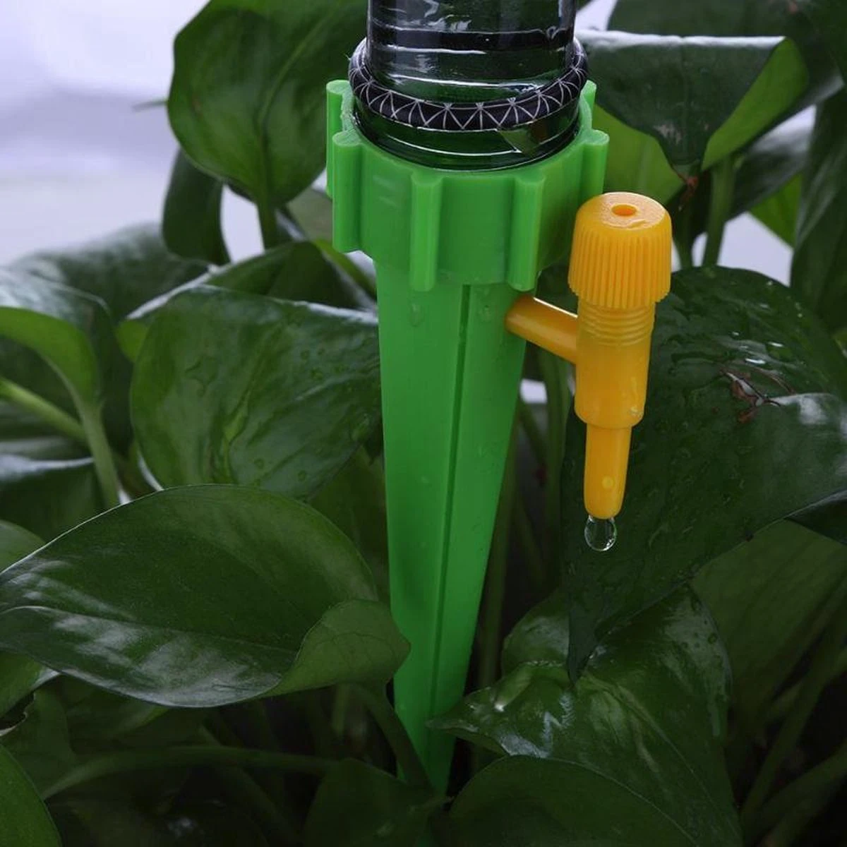 12 Stuks Plant Bewateringssysteem | Waterdruppelaar | Druppelsysteem |Bewateringssysteem | Bewateringsyteem Watergeefsysteem | Plantenbol | Automatische Gieter | Water Druppelaar | Druppel Systeem | Water Geef Systeem | Plantenbol | - Afbeelding 6