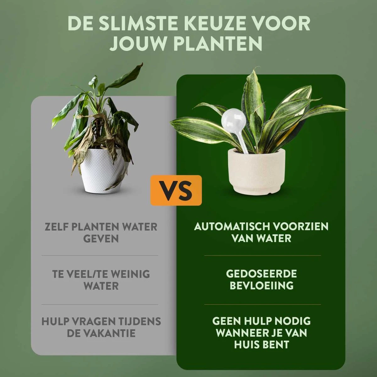 STFF & Co® Waterdruppelaar Voor Planten – Irrigatiesysteem Automatisch Watergeefsysteem – Waterbollen Voor Planten – Bewateringssysteem – 8 Stuks - 5cm - Afbeelding 3