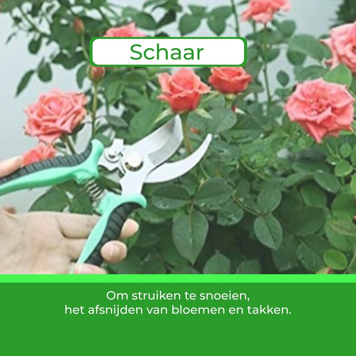 Djambo Tuingereedschap Set 8-delig Tuinsetje Met 15 Unieke Bamboe Plantetiketten In 1 Draagtas - Compleet Tuingereedschap Voor De Tuinliefhebbers - Afbeelding 9