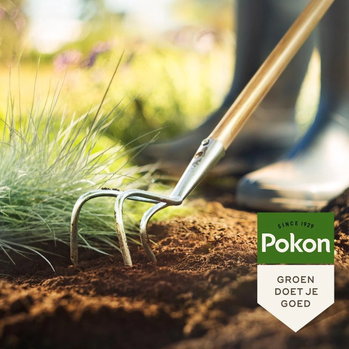 Pokon Bio Bemeste Tuincompost - 20l - Bodemverbeteraar - Geschikt Voor Ophoging En Aanplanten - Afbeelding 4