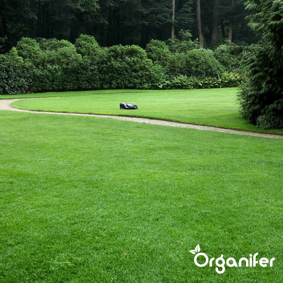 IJzersulfaat Meststof – Mos Verwijderaar – 5kg -Voor 250m2 (organifer) - Afbeelding 10