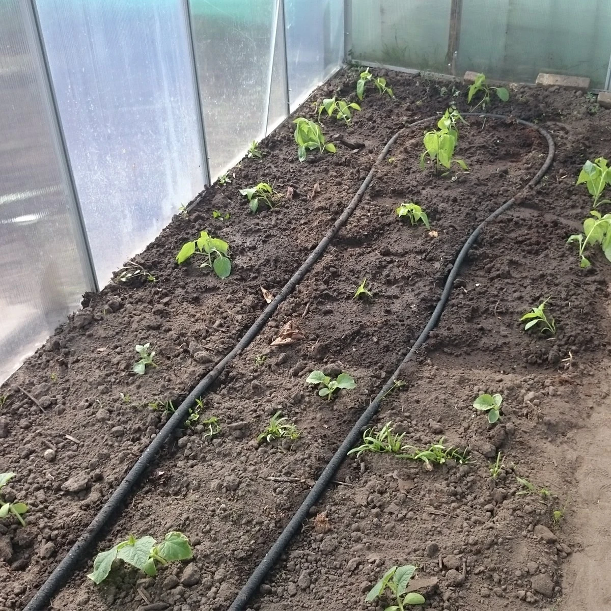 Druppelslang Actiepakket 100 Meter - Leidingshop - Afbeelding 3