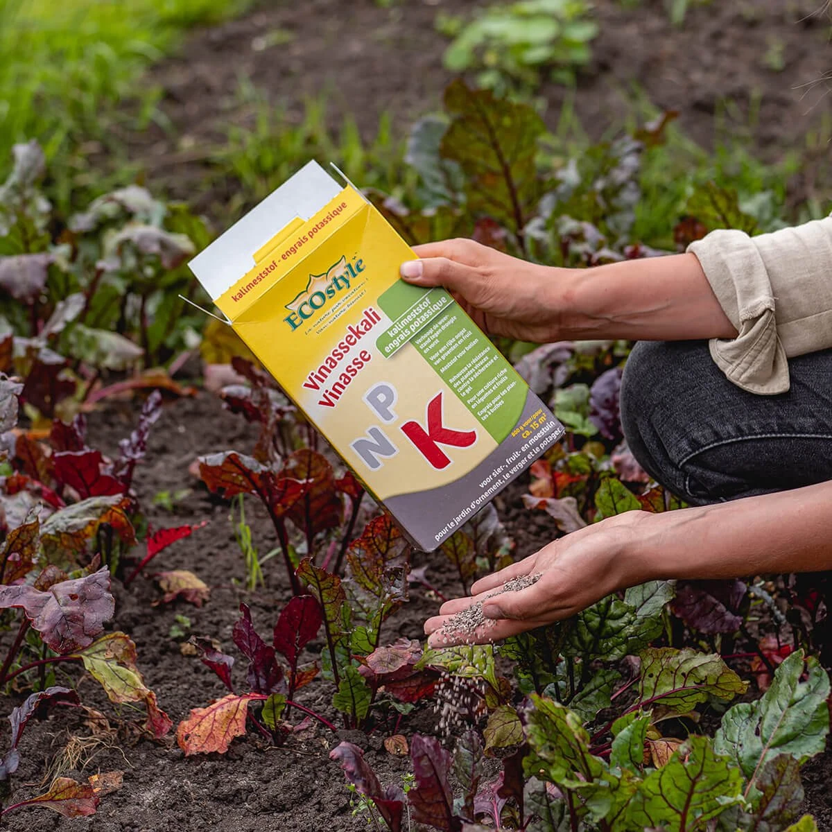 ECOStyle Vinassekali Organische Meststof - Vuor Kaliumtekort - Voor Moestuin, Siertuin En Fruit - Hoger Weerstand Tegen Droogte & Vorst - 15M² - 800 GR - Afbeelding 4