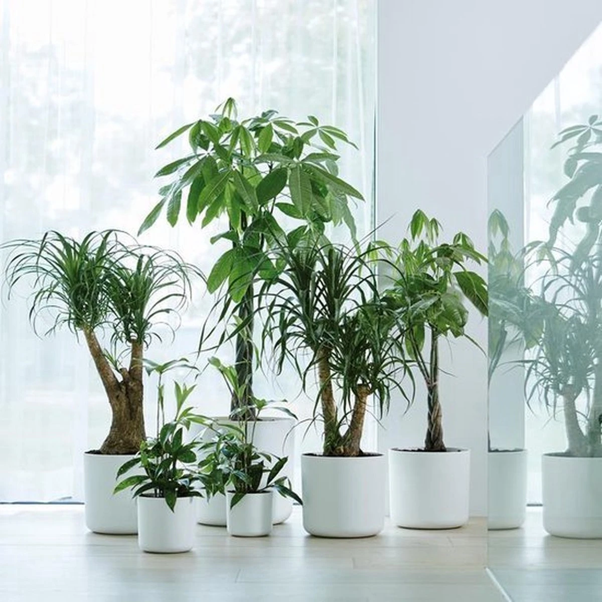 Elho B.for Soft Rond 30 - Bloempot Voor Binnen - Ø 29.5 X H 27.6 Cm - Wit - Afbeelding 7