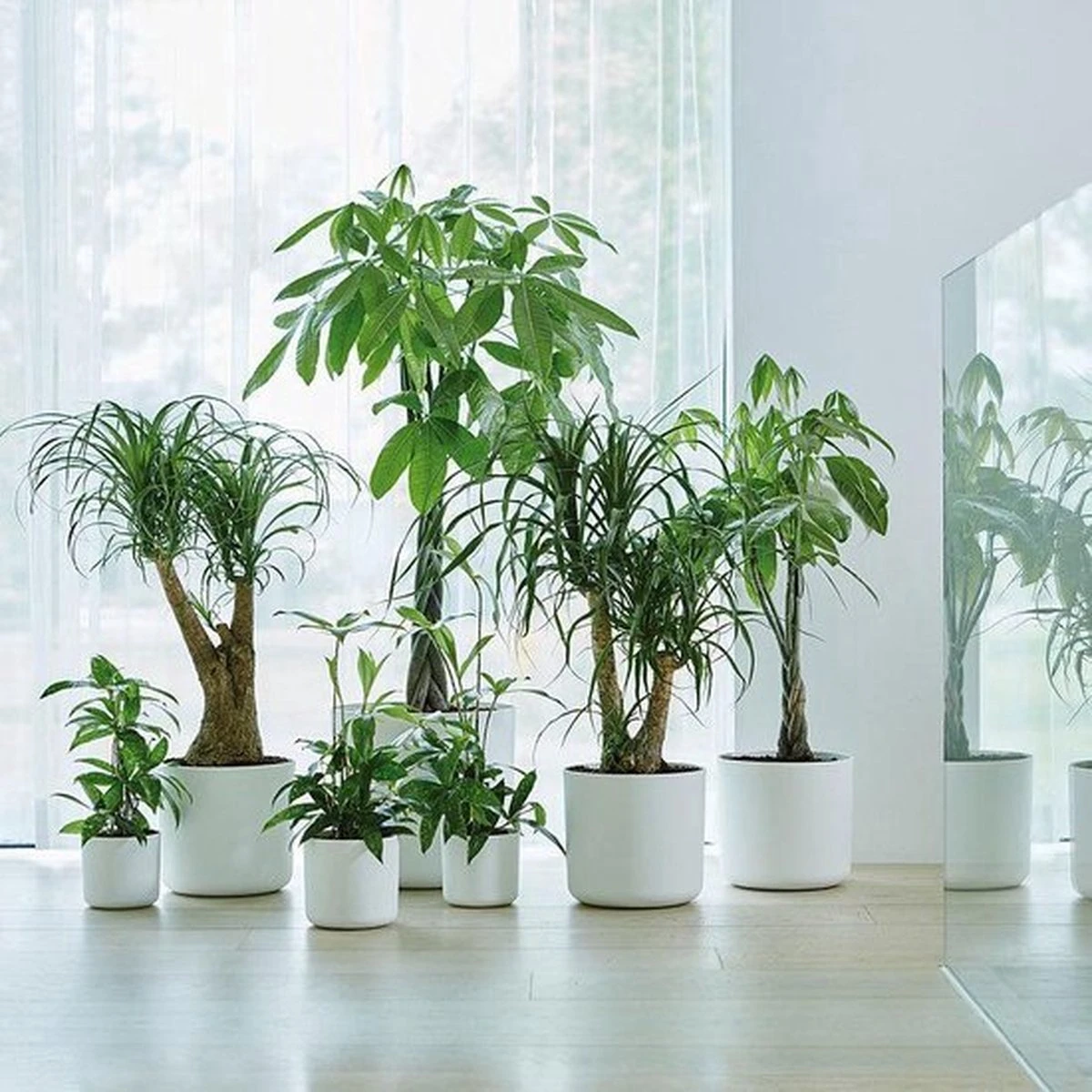 Elho B.for Soft Rond 30 - Bloempot Voor Binnen - Ø 29.5 X H 27.6 Cm - Wit - Afbeelding 10