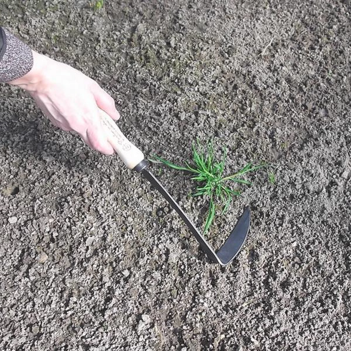 Merkloos Japanse Handhak Gesmeed - 32 Cm - Afbeelding 2