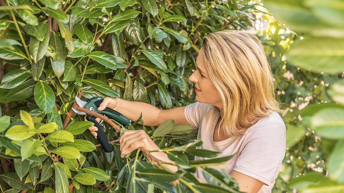 Bosch EasyPrune Accu Snoeischaar - 3.6 V Accu - USB - Afbeelding 7