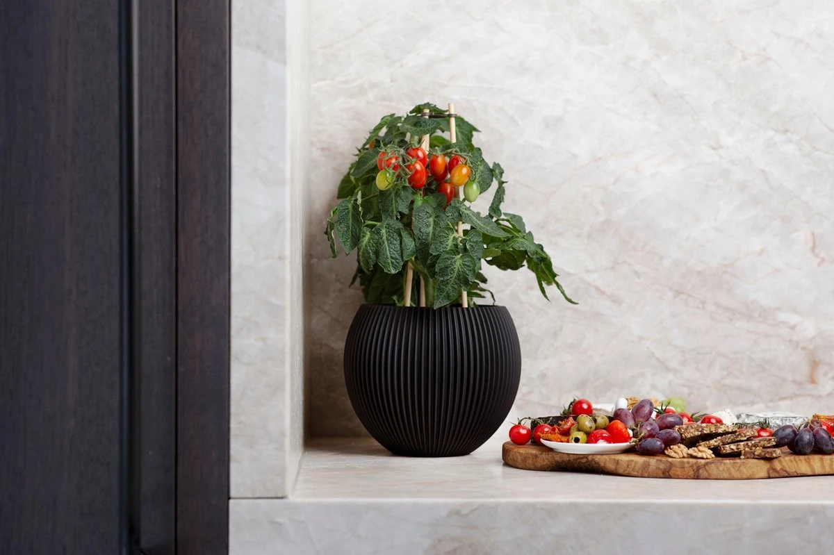 Capi Europe - Vaas Bol Groove - 29x26 - Zwart - Bloempot Voor Binnen - BGVBL104 - Afbeelding 2