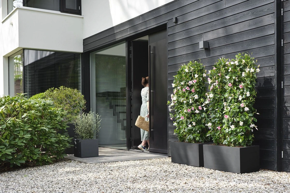 Elho Vivo Next Vierkant 30 - Plantenbak Voor Binnen & Buiten - Ø 29.5 X H 29.5 Cm - Zwart/Living Black - Afbeelding 5