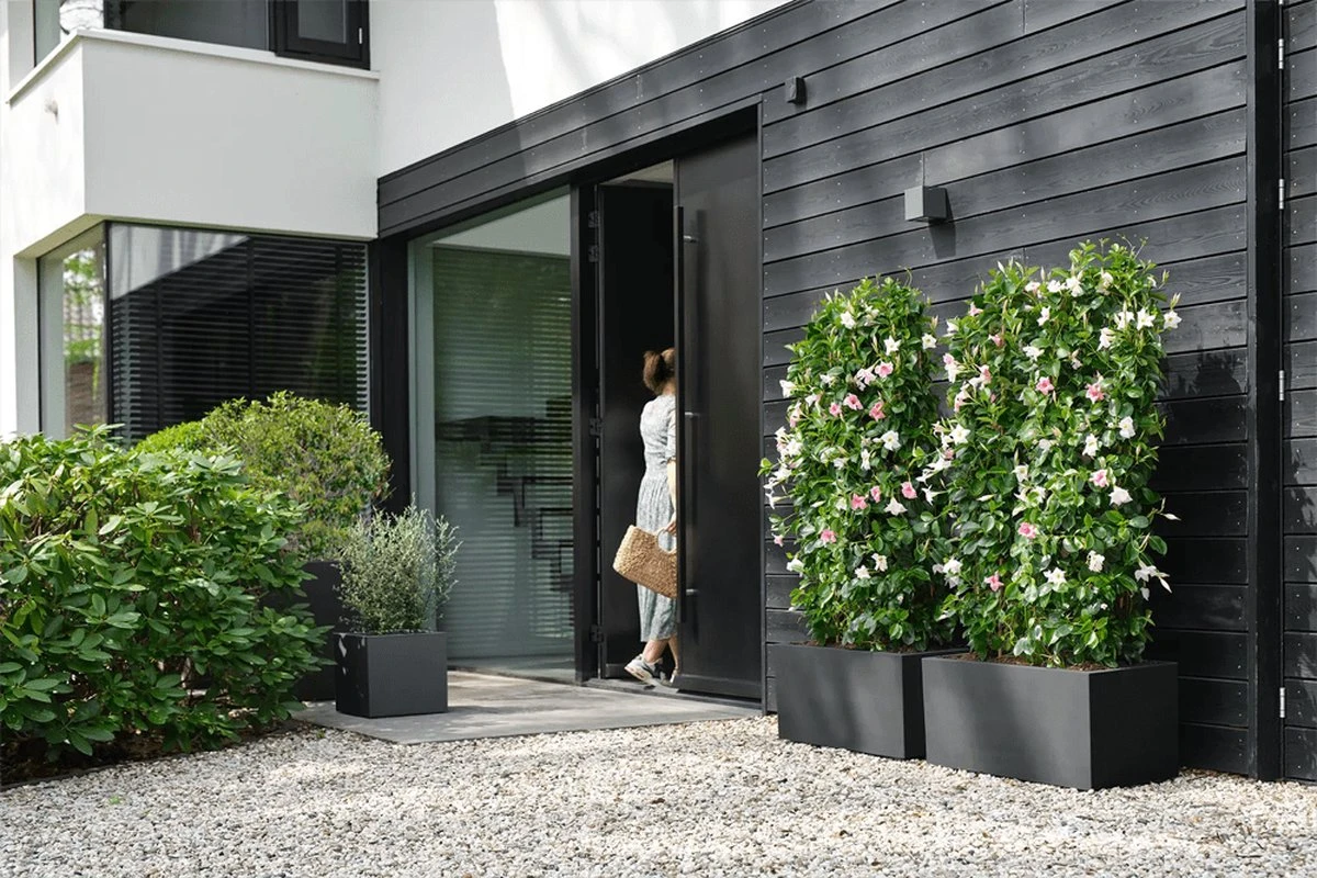 Elho Vivo Next Vierkant 40 - Plantenbak Voor Binnen & Buiten - Ø 39.0 X H 37.9 Cm - Zwart/Living Black - Afbeelding 12