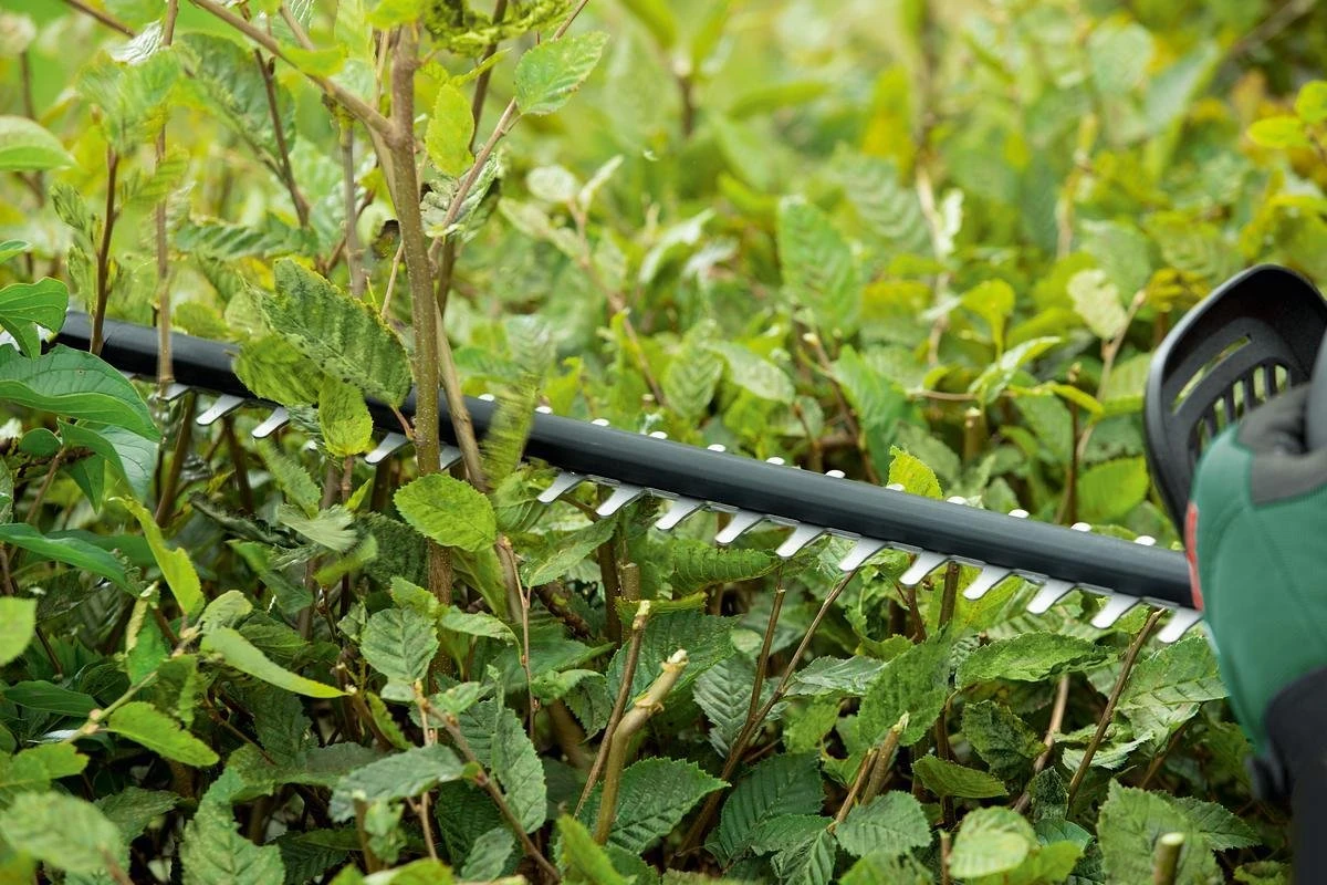 Bosch UniversalHedgeCut 18-50 Heggenschaar - Met 18 V Accu En Lader - Afbeelding 6