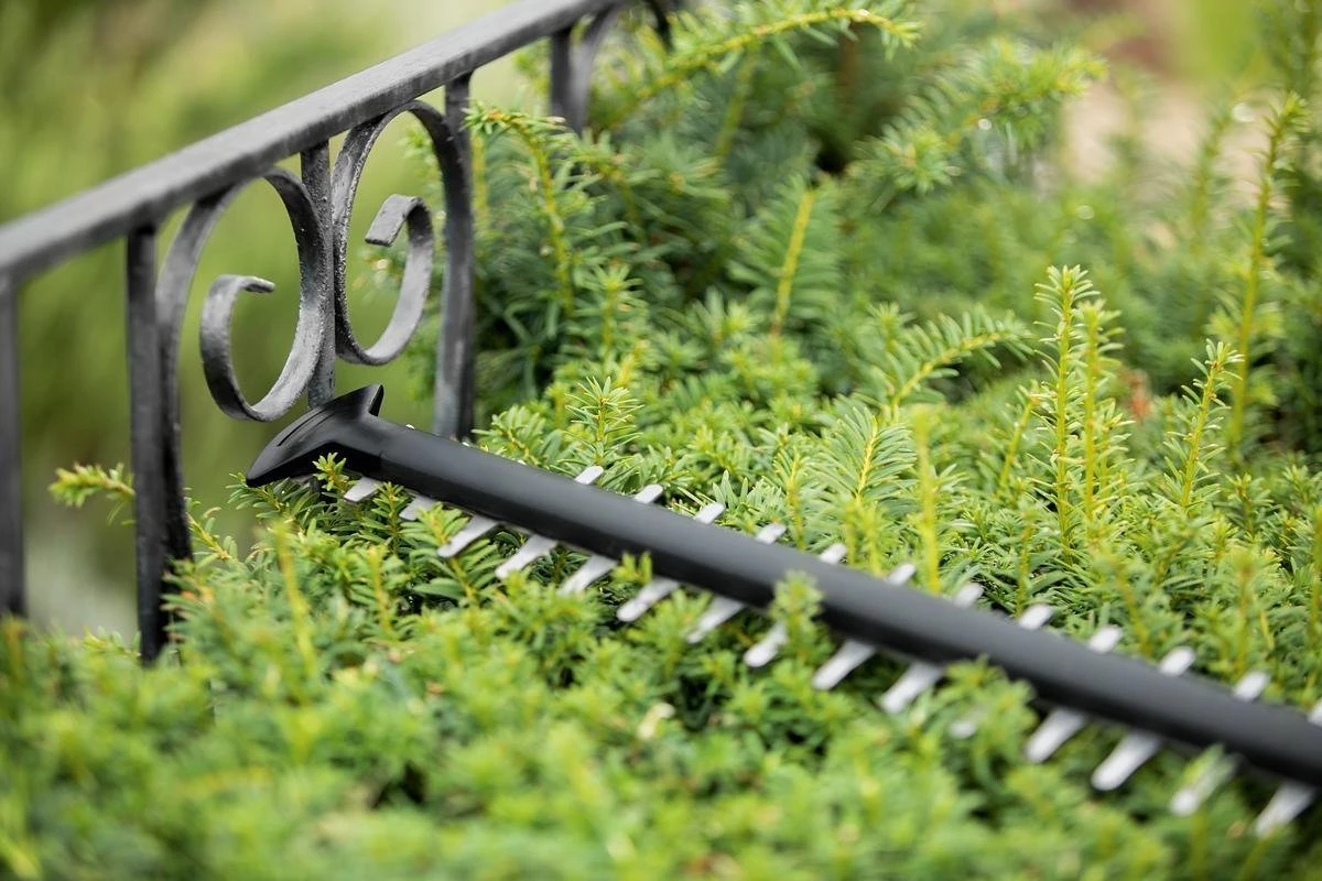 Bosch UniversalHedgeCut 18-55 Heggenschaar - Zonder 18V Accu En Oplader - Afbeelding 5