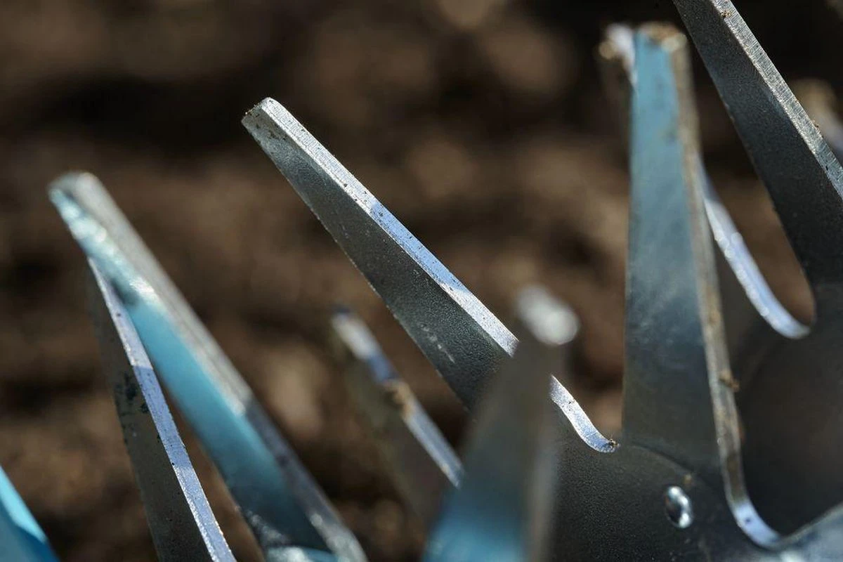 GARDENA Combisystem Tuinfrees - Sterfrees - Afbeelding 4