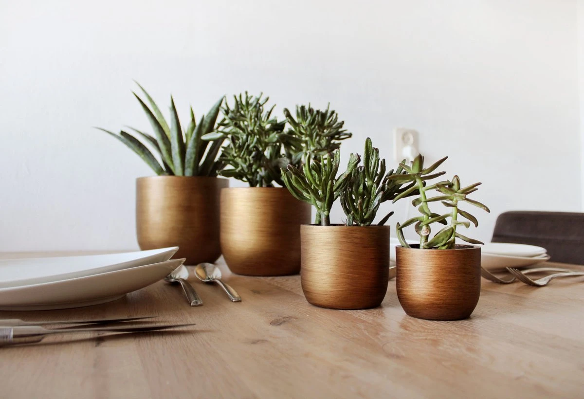 Capi Europe - Set Van 4 - Bloempot Binnen - Retro - - Goud - Bloempot Voor Binnen - BOX-BRTG-4 - Afbeelding 3