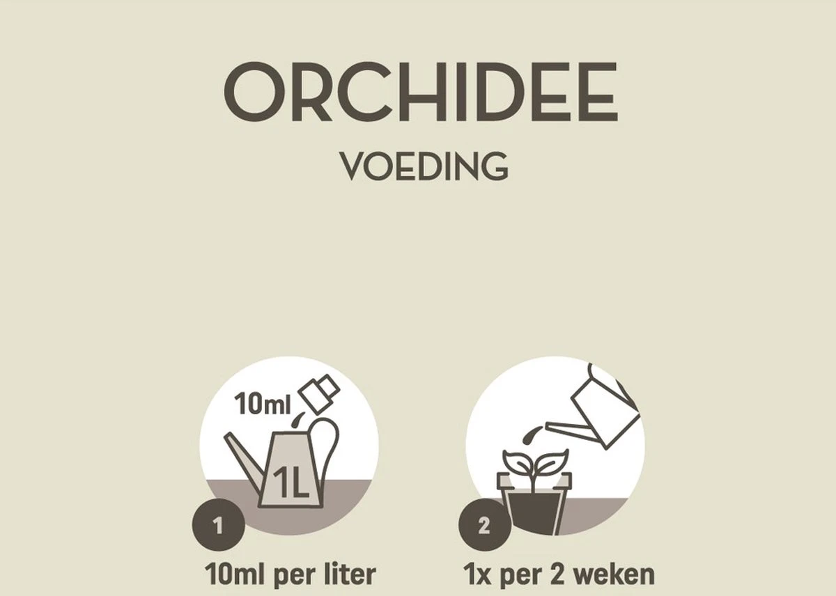 Pokon Orchidee Voeding - 500ml - Plantenvoeding - 10ml Per 1L Water - Afbeelding 4