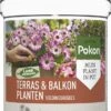 Pokon Voedingskegels Voor Terras- & Balkonplanten - 40 Stuks - 180 Dagen Voeding - Plantenvoeding