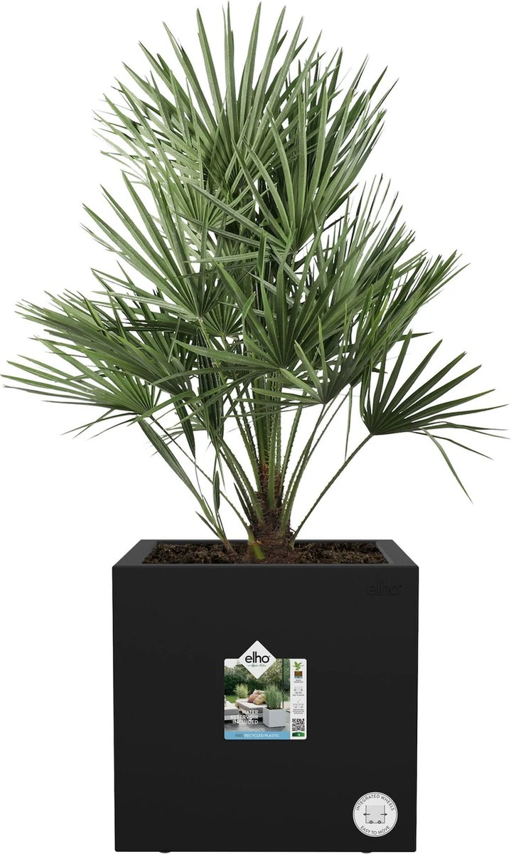Elho Vivo Next Vierkant 30 - Plantenbak Voor Binnen & Buiten - Ø 29.5 X H 29.5 Cm - Zwart/Living Black - Afbeelding 2