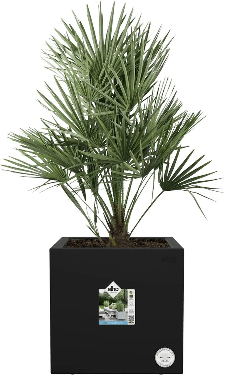 Elho Vivo Next Vierkant 30 - Plantenbak Voor Binnen & Buiten - Ø 29.5 X H 29.5 Cm - Zwart/Living Black - Afbeelding 11