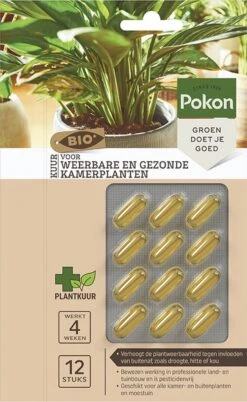 Pokon Bio Kuur Voor Weerbare En Gezonde Kamerplanten - Capsules - 12 Stuks - Geschikt Voor Alle Kamer-, Buitenplanten En Moestuin