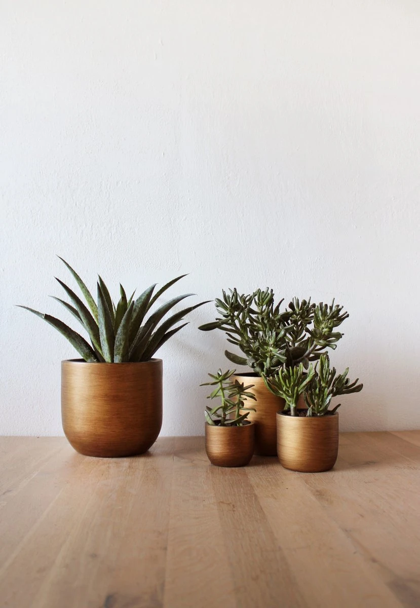 Capi Europe - Set Van 4 - Bloempot Binnen - Retro - - Goud - Bloempot Voor Binnen - BOX-BRTG-4 - Afbeelding 4