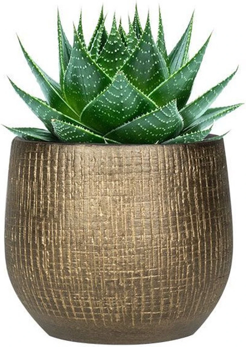 Plantenpot/bloempot In Een Strakke Modern Design Look Metal Goud Dia 22 Cm En Hoogte 20 Cm - Afbeelding 2