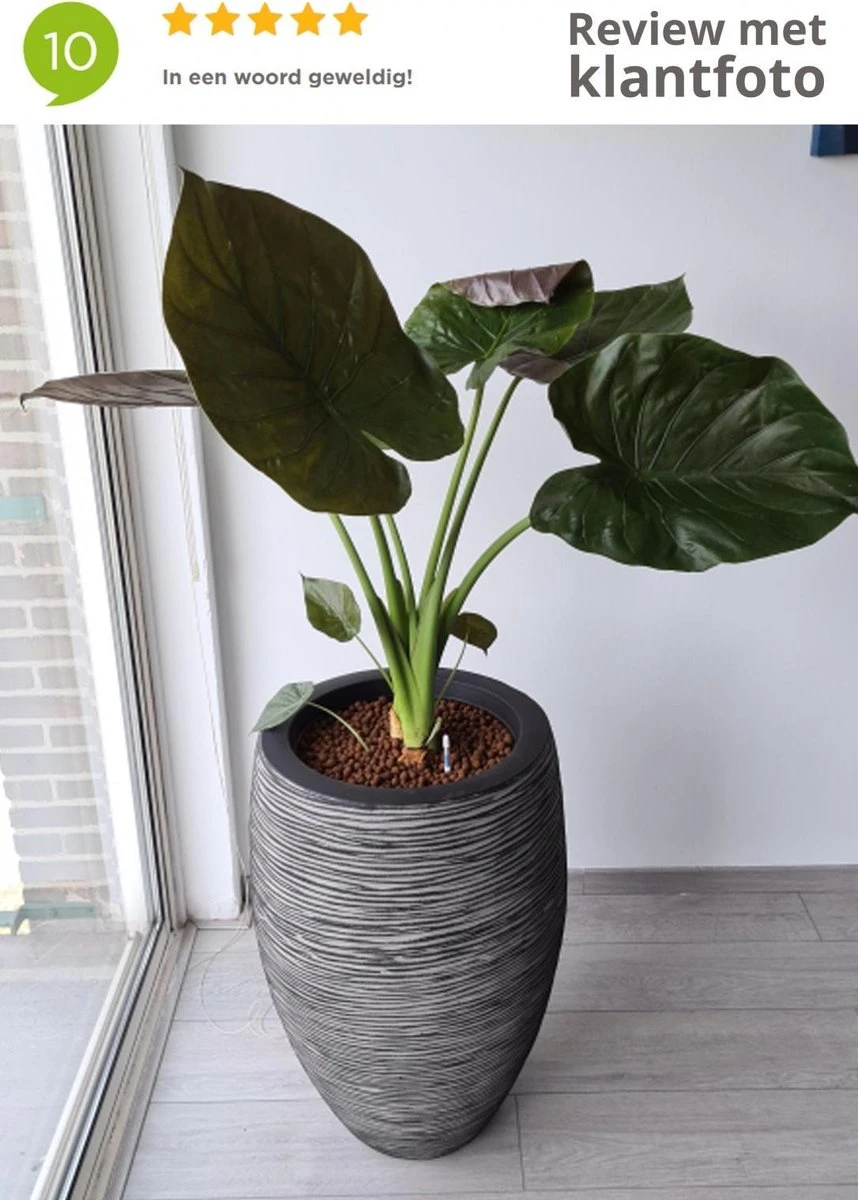 Capi Europe - Vaas Elegant Deluxe Rib NL - 40x60 - Antraciet - Voor Binnen En Buiten - KOFZ1131 - Afbeelding 8