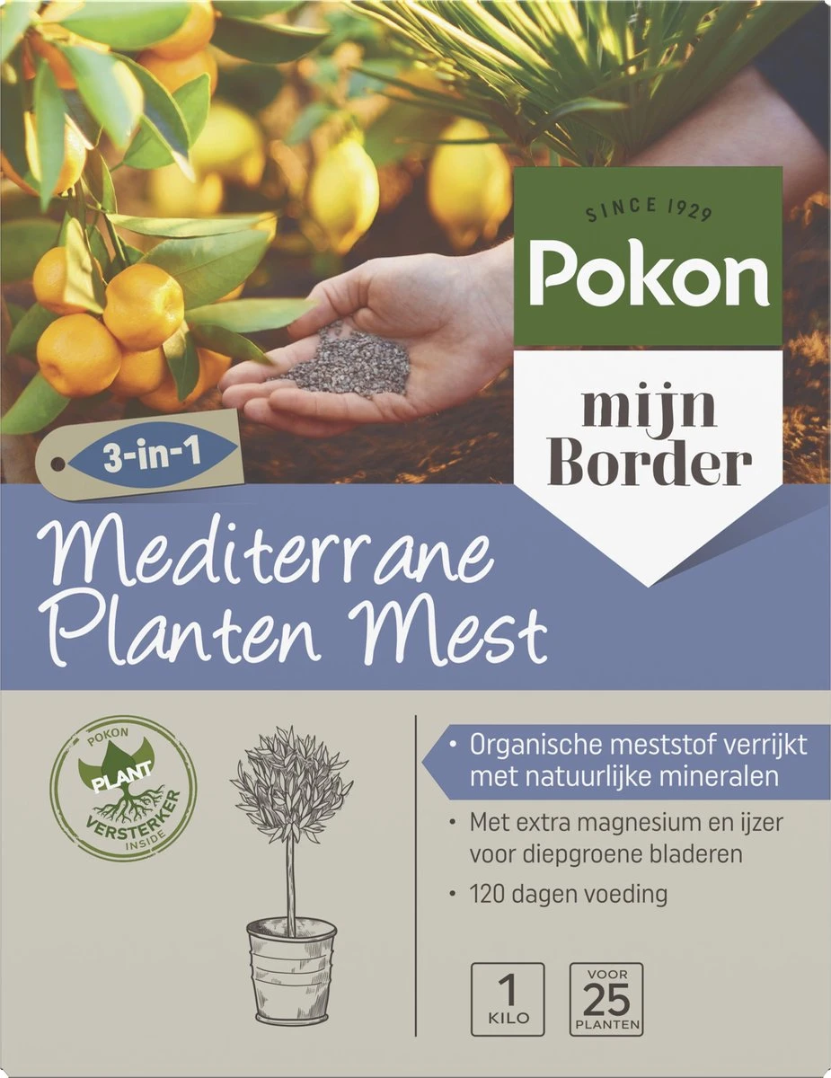 Pokon Mediterrane Planten Mest - 1kg - Meststof - 3-in-1 Werking